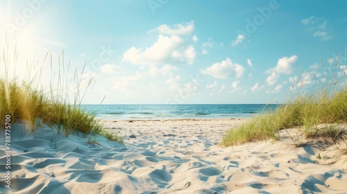 deserted beach. Sea or ocean view with white sand and grass and free space