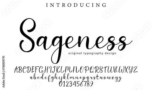 Sageness Font Stylish brush painted an uppercase vector letters, alphabet, typeface