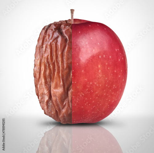 Health And Disease or Aging Process and mental health symbol as a new fresh ripe red apple decomposing and getting old and wrinkled as a symbol for optimism or pessimism and mortality.