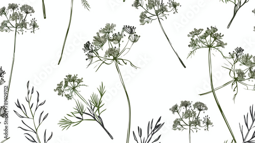 Seamless pattern with dill flowers or inflorescences