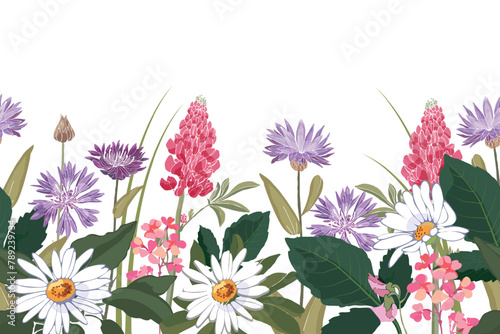 Vector floral seamless pattern, border with flowers, leaves and herbs.