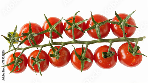 Fresh bunch tomato with water drops, bio production isoalted on white background 
