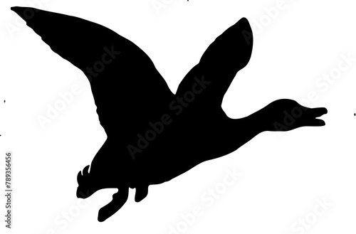 silhouette of a flying duck