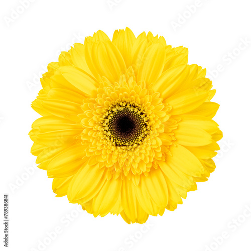 PNG yellow geranium flower sticker