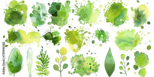 A variety of watercolor green plants and leaves. Ideal for botanical designs