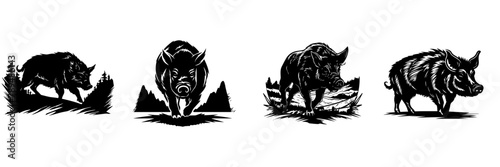 Hand drawn illustration of wild boar 