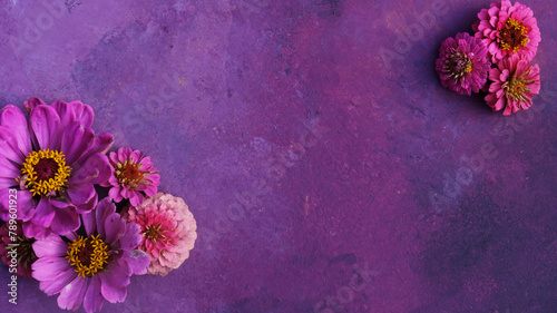 Mothers day holiday concept with purple zinnia flower heads on background.