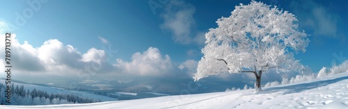 Snowy Winter Wonderland: Panoramic View of Black Forest Landscape with Frozen Trees at Schliffkopf