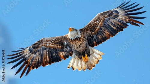 Majestic bald eagle soaring against a clear blue sky, wings spread wide. Created with Generative AI.