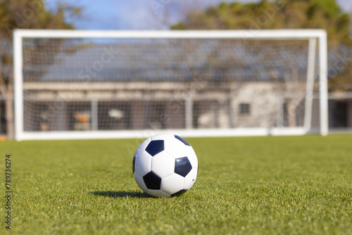 A soccer ball is resting on green grass on field outdoors with goal in background, copy space