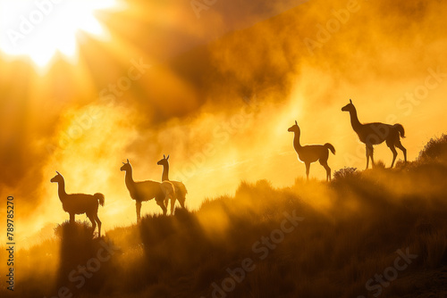 Guanacos stand elegantly against a dramatic sunset, with rays piercing through a misty haze over the wild grasslands.