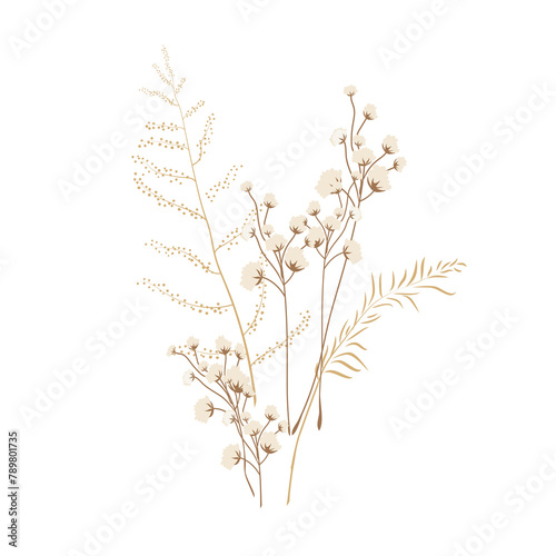 Aesthetic png dried flower illustration, transparent background