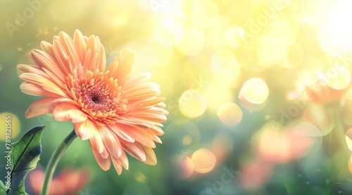  A tight shot of a bloom against a softly blurred backdrop, with the focus on bokeh light originating from the flower's center