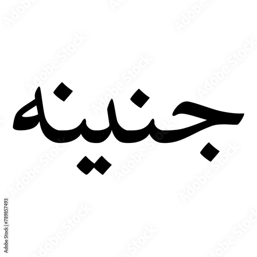 Janina Muslim Girls Name Naskh Font Arabic Calligraphy