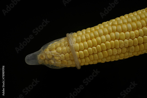 Ripe yellow ear of corn with white transparent condom isolated on black background.