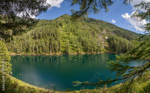 Picturesque forest lake, summer mountain landscape, travel and leisure