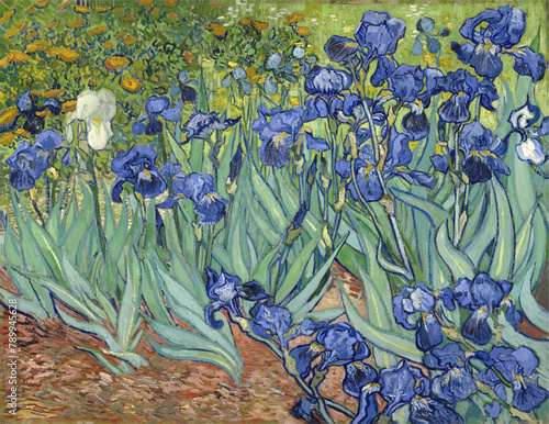 Irises by Vincent van Gogh, 1889