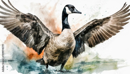 A canadian goose flapping wings, in a colorful watercolor style. 