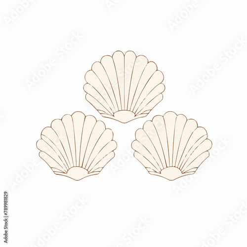 Seashell | Minimalist and Simple set of 3 Line White background - Vector illustration
