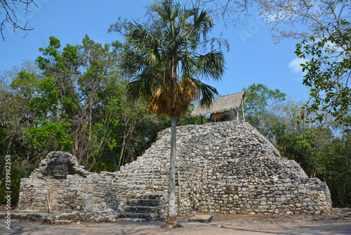 Ruiny świątyń i budowli kultury Majów w mieście Koba na Jukatanie w Meksyku