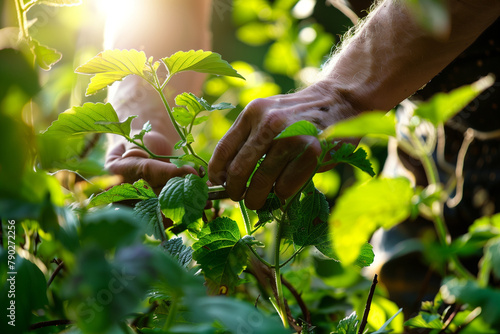 focused hands of a garden worker carefully pruning foliage, set against a backdrop of lush greenery and sunlight streaming through leaves, creating a mesmerizing atmosphere of tran