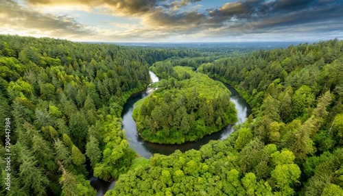 Top view, An expansive forest canopy, like a lush green carpet stretching out beneath the viewer, interrupted only by winding rivers and clearings.