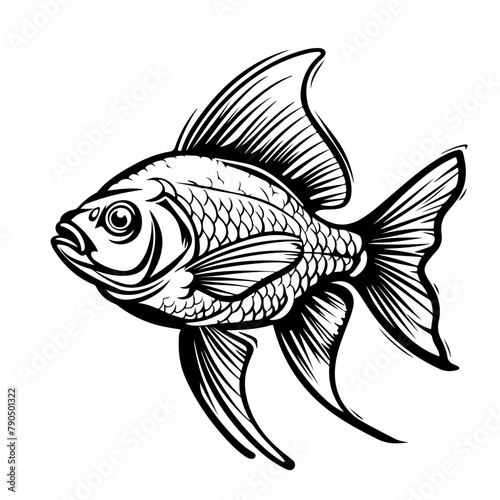 Aquarium Fish