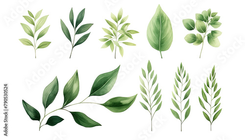 watercolor green leaves elements collection for Wedding Invitation botanical isolated on white background, Green leaves arrangements for greeting cards PNG.