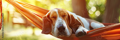 A basset hound is comfortably laying in a hammock, enjoying a peaceful afternoon rest under the sun