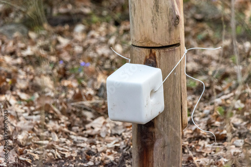 A cube of salt for animals in the forest