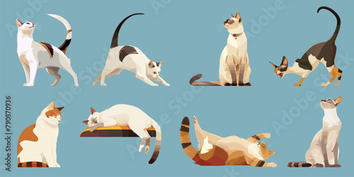 Different breeds of cats in various poses. Realistic set of pet animals -fluffy cute cats, sphynx and siamese. Cartoon cat characters on blue background