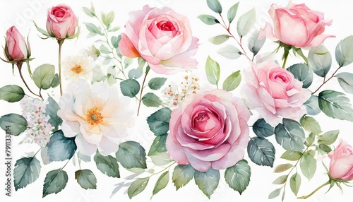 watercolor arrangements with garden roses collection pink flowers leaves branches botanic il