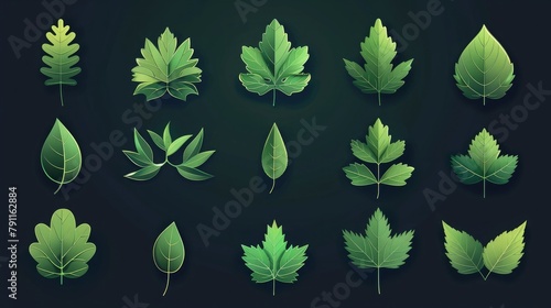 Minimalist Leaf Icons in Vibrant Gradients Celebrating Floras Simplicity