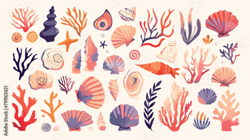 Collection of gorgeous hand drawn seashells corals