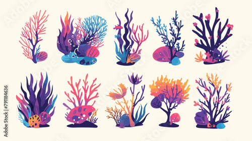 Collection of various corals and seaweed or algae i
