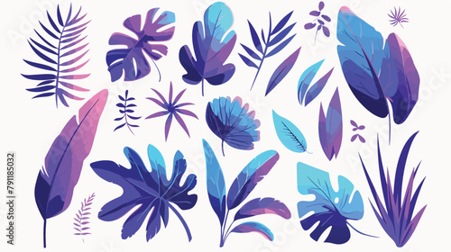 Collection of various tropical leaves isolated on w