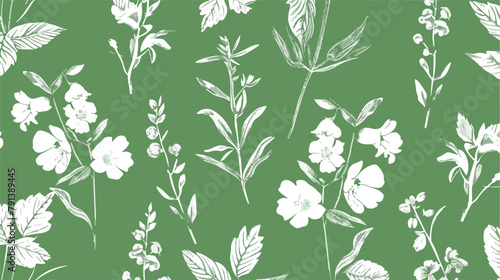 Seamless floral pattern. White lherbs on green background