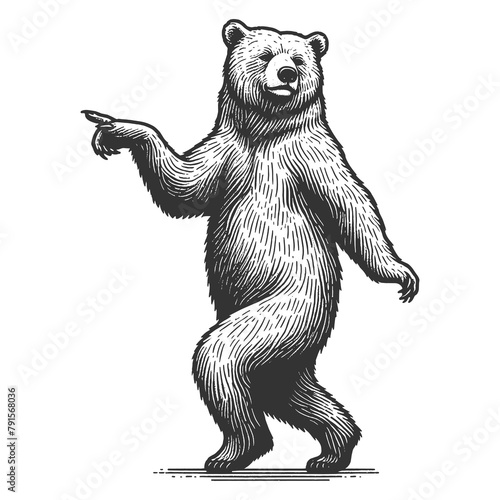 Dancing standing bear pointing with its paw sketch engraving generative ai fictional character raster illustration. Scratch board imitation. Black and white image.