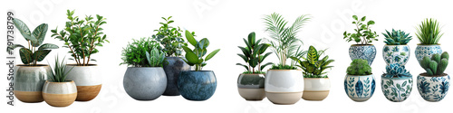 Beautiful plants in ceramic pots Hyperrealistic Highly Detailed Isolated On Transparent Background Png File