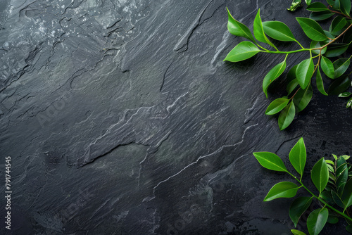 Black slate background with green leaves