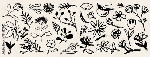 Contemporary abstract minimal tattoo flower collection. Vector illustration. Ink hand drawn wild flowers set. Abstract plants art in charcoal or crayon drawing style. Pencil drawn floral elements.