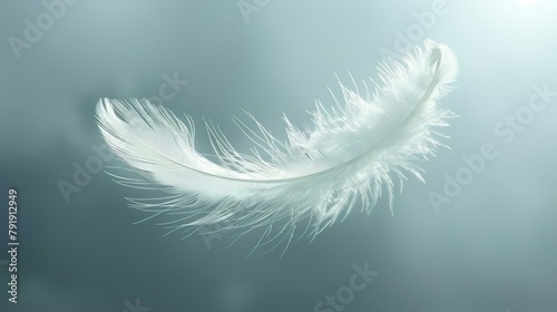  A tight shot of a white feather drifting in mid-air against a hazy, watery backdrop