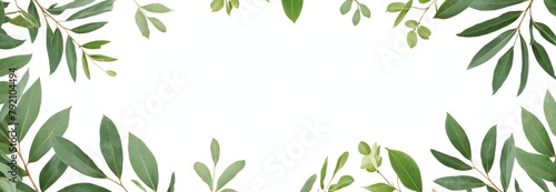 Frame of eucalyptus branches, green leaves on a white background, Concept for cards, greeting cards, invitations. wide banner panoramic. top view, copy space