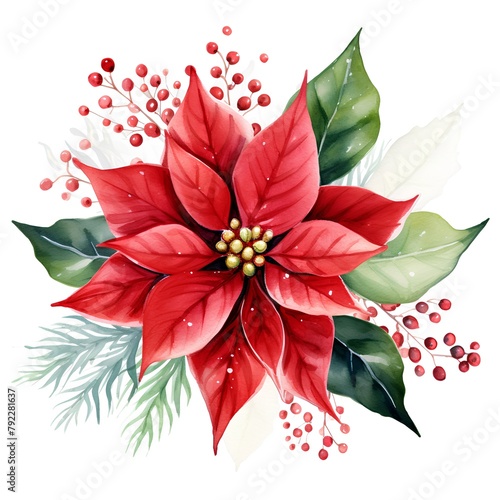 Watercolor Christmas bouquet with poinsettia. Hand painted illustration isolated on white background