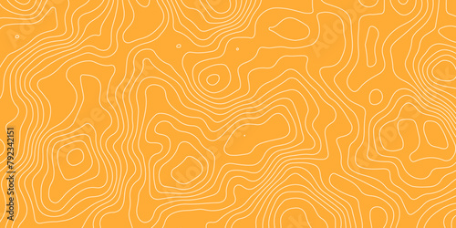 Orange background white topography texture design earth and map texture vector