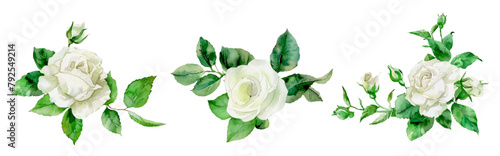 Watercolor bouquet of white roses png. Template for use as greeting card, invitation for wedding, birthday and other celebration. Vector botanical watercolor illustration.