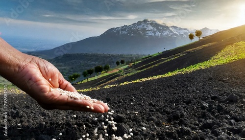 Jesus' Parable About the Sower who went out to Sow The Word.