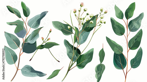 Blooming eucalyptus hand drawn vector illustration se