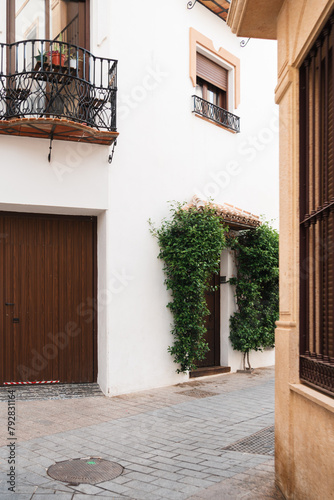 A peaceful street in Ojen, Spain, characterized by its white-washed walls and verdant greenery.