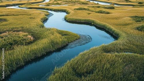 A coastal marshland with meandering water channels. Copy Space.